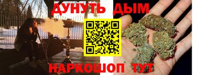 индика Лесосибирск