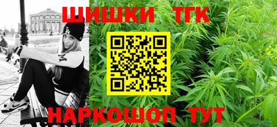 индика Лесосибирск