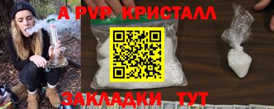 индика Лесосибирск