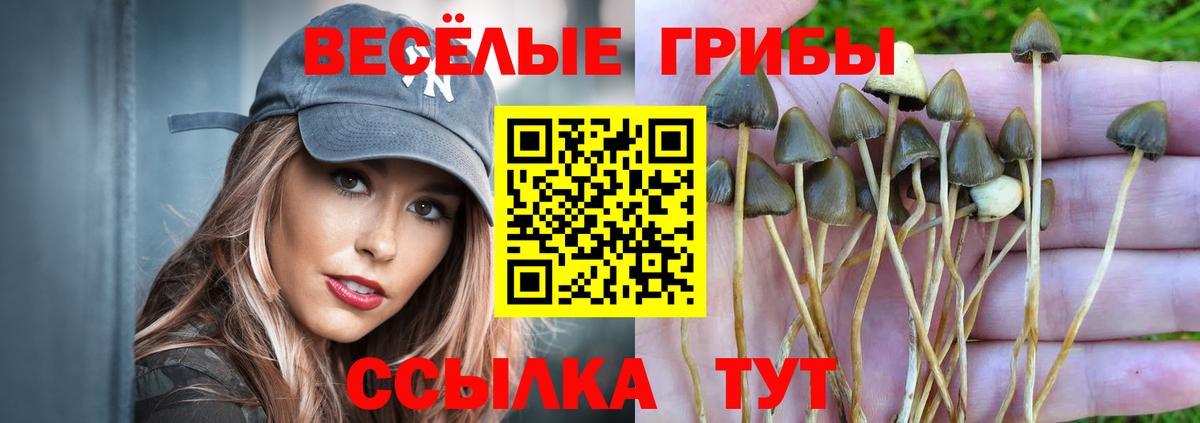 Бузулук  Псилоцибиновые грибы прущие грибы  Вход с VPN 